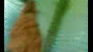 شہوانی ، شہوت انگیز سرخ بالوں والی Amarna ملر اس بلی ہو کوس جدیدایرانی جاتا ہے کھایا صاف